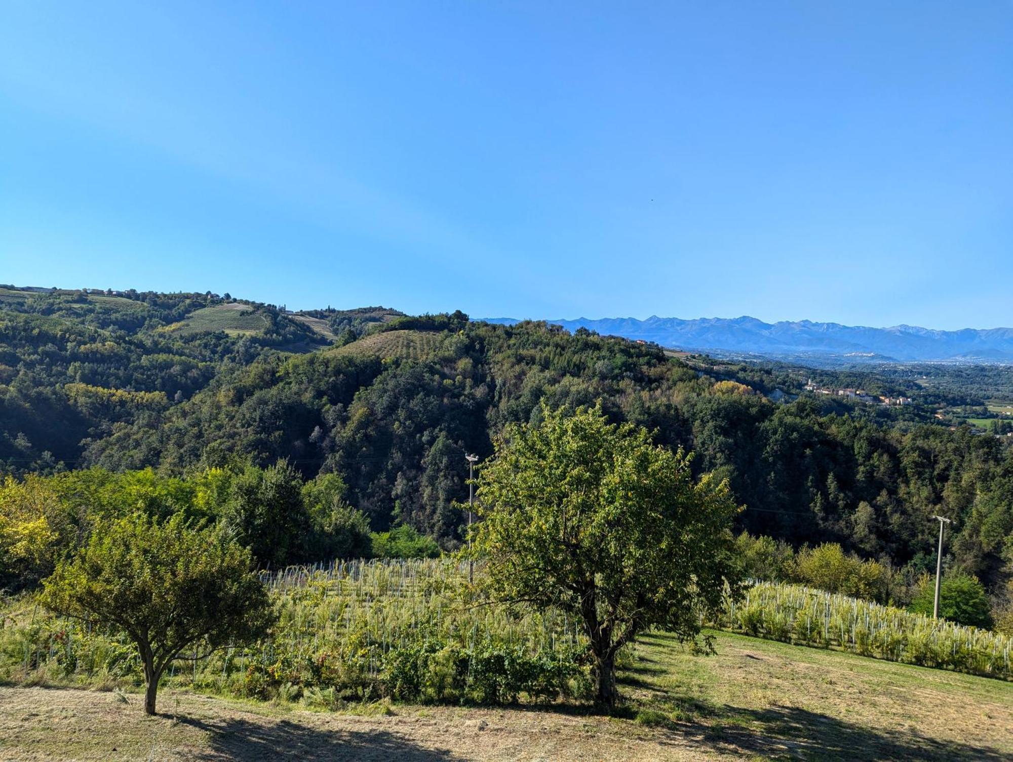 Villa Casa Felice à Farigliano Extérieur photo